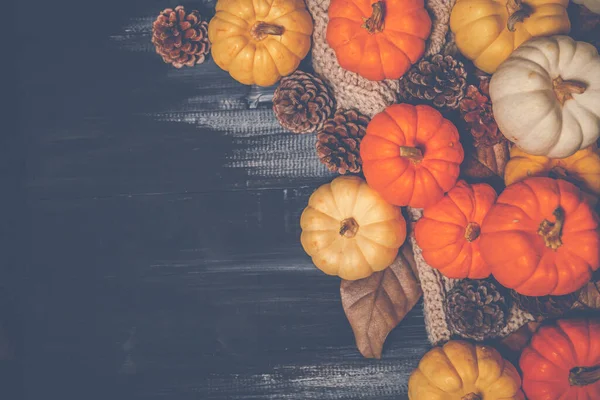 Top view of Halloween day and Thanksgiving day, orange pumpkin, yellow pumpkin, white pumpkin, Knitting sweater and pinecone on dark background with copy space for text. Halloween concepts, Thanksgiving concepts.