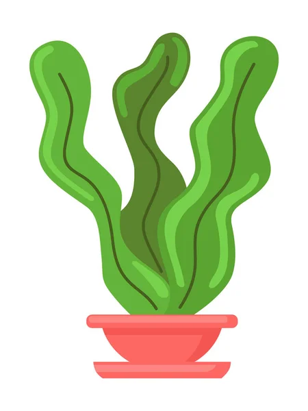 Vektorillustration einer grünen Zierpflanze mit langen Blättern im Keramiktopf, Topf mit Zimmerpflanze — Stockvektor