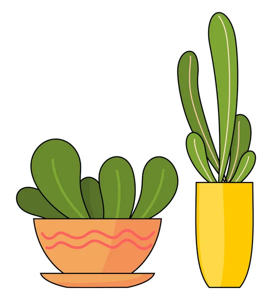 Dekorativa krukväxter. Vektor illustration av dekorativa gröna växter i krukor på vit bsckground — Stock vektor