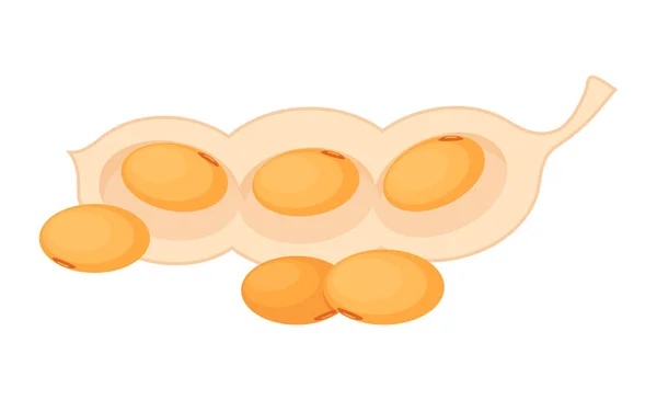 Affiche de cacahuètes en style dessin animé, cacahuètes en coquille, noix de gousse, haricot frais isolé sur fond blanc — Image vectorielle