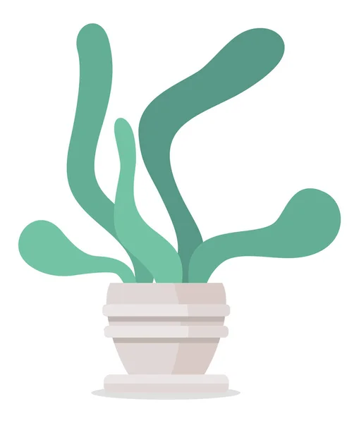 Зеленое домашнее растение, изолированное на белом фоне в горшке, концепция закрытого растения, веб-значок для логотипа — стоковый вектор