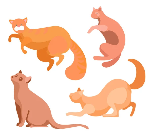 Kahverengi Kedi, Düz Kulaklar ve Oyuncak Poz İzole Edilmiş — Stok Vektör