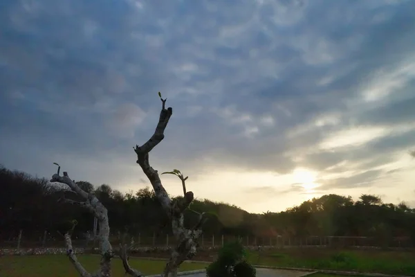 Вид Сухие Деревья Газебо Второй Половине Дня Закате Прекрасным Видом — стоковое фото