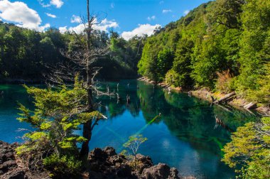 Laguna Arcoiris parque nacional conguillio Şili Sudamerica