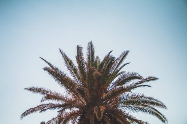 Hırvatistan 'da denize açılmak