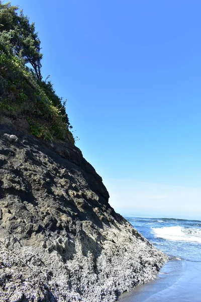 海の海岸の美しい景色 — ストック写真