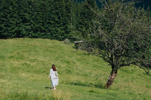 Menina Vestido Azul Caminha Prado Montanha Com Uma Árvore Vista Fotos De Bancos De Imagens Sem Royalties