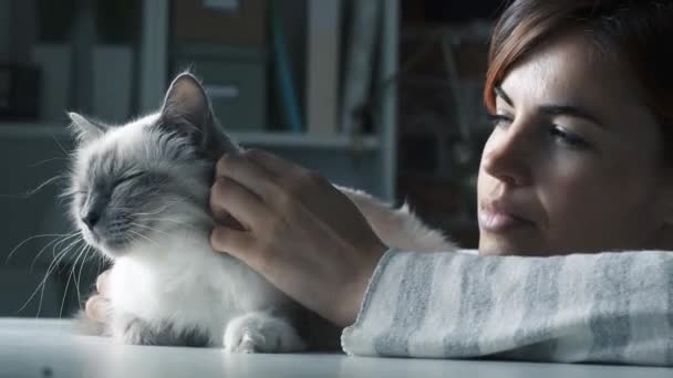 Vrouw haar mooie pluizig kat knuffelen — Stockvideo