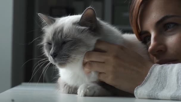 Kadın onun güzel kabarık kedi sarılma — Stok video