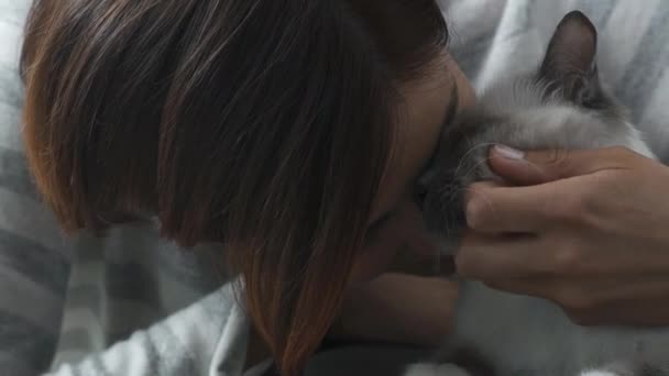 여 자가 그녀의 아름 다운 솜 털 고양이 껴 안고 — 비디오