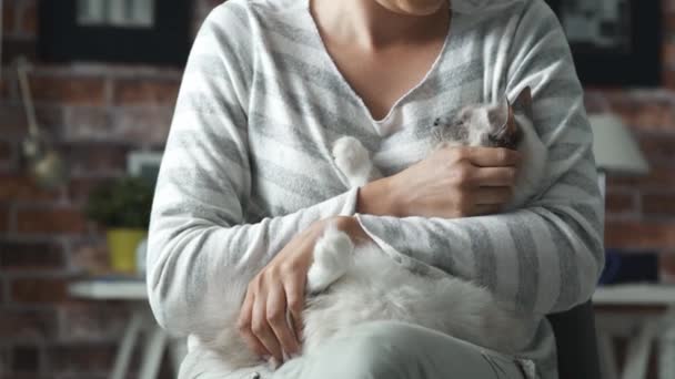 Woman holding a beautiful cat in her arms — Stock Video