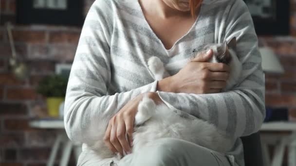 Vrouw met een prachtige kat in haar armen — Stockvideo