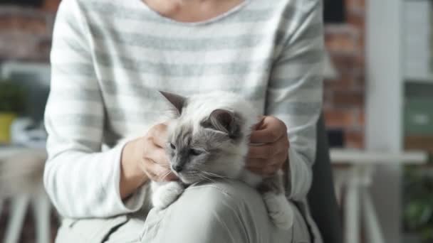 女人抱着一只猫在她的膝上 — 图库视频影像