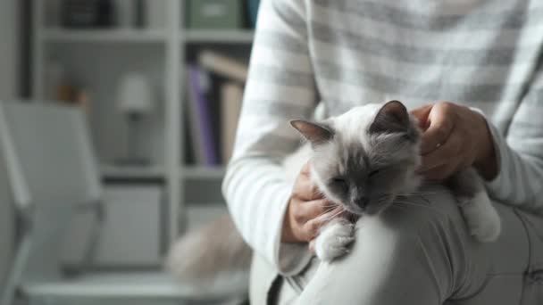 Vrouw met een kat op haar ronden — Stockvideo