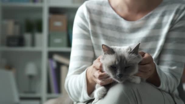 Mujer sosteniendo un gato en sus vueltas — Vídeos de Stock