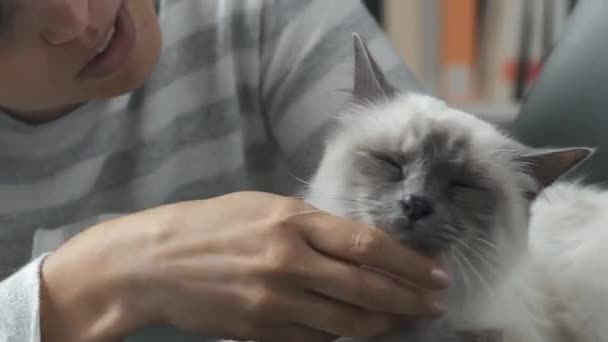 Woman cuddling her cat sleeping on a chair — Stock Video