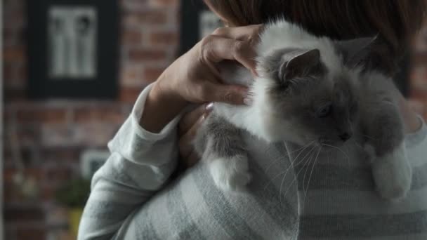 女人抱着一只猫在她的肩膀上 — 图库视频影像