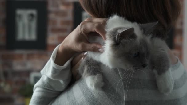 Mulher segurando um gato em seu ombro — Vídeo de Stock