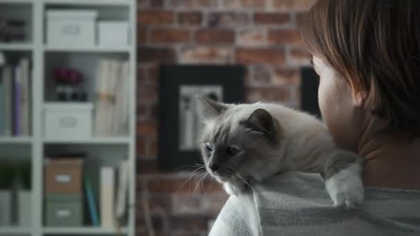 Женщина держит кота на плече — стоковое видео