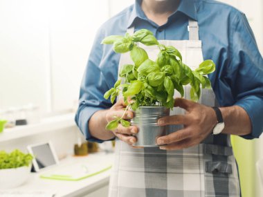 Bir tencereye taze Fesleğenli tutan adam o bir önlük giymiş ve pişirme