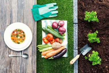 Çiftlik gıda tablo için: bir kumaş ve bir tabak içinde lezzetli çorba Bahçe, sebze büyüyen bitkiler
