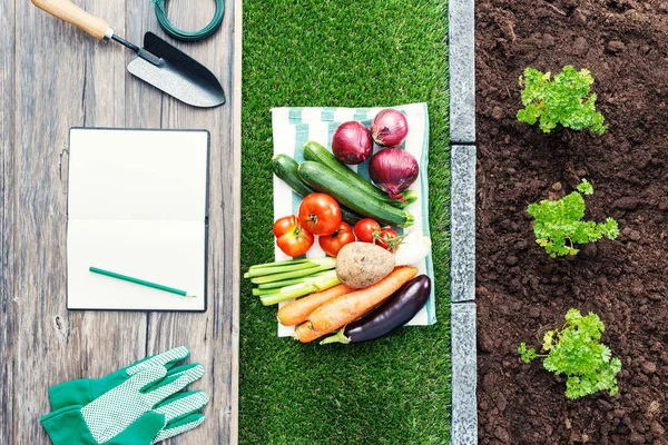 空白のノートブック 園芸工具 新鮮な野菜 庭で育つ植物を開く 農耕と園芸の概念 — ストック写真