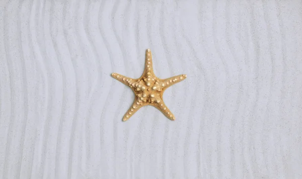 Starfish on a clean tropical beach — Stock Photo, Image