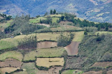 Peru, Amazonas 'taki Kuelap kalesi yakınlarındaki Andes' in altında teraslı tarlalar ve yamalı tarım arazileri var. Nesiller boyu yerel çiftçiler bu manzarayı şekillendirdi..