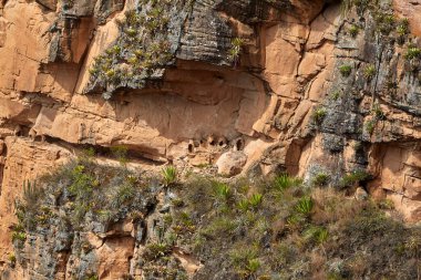 Chachapoyas 'ın kayalıklarına oyulmuş sessiz tanıklar La Ciudad de los Muertos kayadan zamansız bir nekropolis olarak çıkar. Vadinin yukarısına tünemiş bu antik cenaze çukurları ölülerini onurlandıran bir uygarlığın anısını koruyor.