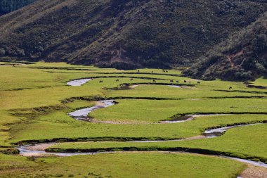 Amazonas 'taki Huaylla Beln Vadisi geniş ve nefes kesici. Peru, And Dağları' nın ve gökyüzünün sessiz bir uyum içinde buluştuğu otlakların ve suların yumuşak kıvrımlarında açılır..
