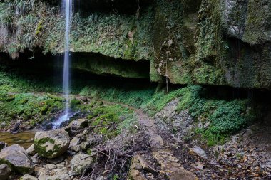 Yumbilla Şelalesi, Amazon 'un yüksek bulut ormanlarından aşağı vadiye doğru iniyor. Dünyanın en uzun şelalelerinden biri, Perus manzaralarının saf güzelliğini ve saklı harikalarını somutlaştırır..