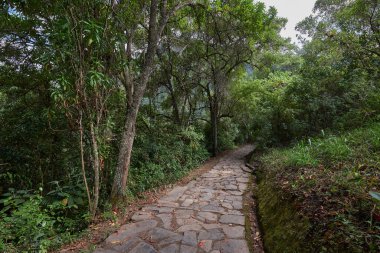 Bereketli yeşillik boyunca uzanan dolambaçlı bir patika güçlü Gocta Şelaleleri 'ne gidiyor. Bu dingin yol boyunca atılan her adım Amazon bölgesinin derinliklerine giden yolcuları davet eder..