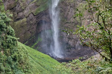 Dünyanın en yüksek şelalelerinden biri olan Gocta Şelaleleri, Peru 'nun kuzeyindeki Amazon bölgesinde yer almaktadır. Etrafı yemyeşil bulut ormanlarıyla çevrili bu uzak doğa harikası 771 metre yüksekliğinde dalgalanır.
