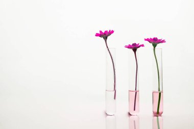 Kozmetik bilimi su ile üç test tüpleri pembe çiçek l