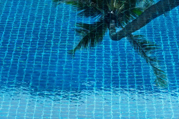 Natureza praia verde coco reflexão na piscina azul para — Fotografia de Stock