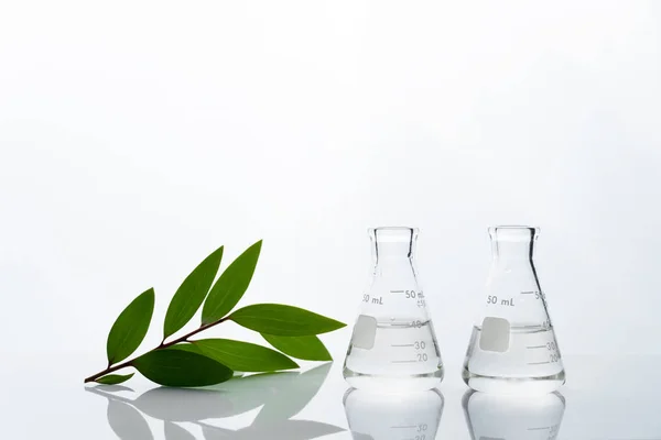 su ve yeşil doğa ile iki net cam şişesi biote bırakın