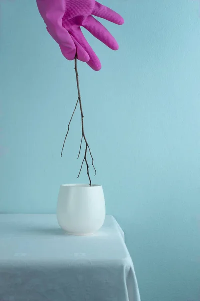Kuru Ahşap Dallı Sıcak Beyaz Çay Fincanı Renkli Pembe Eldivenli — Stok fotoğraf