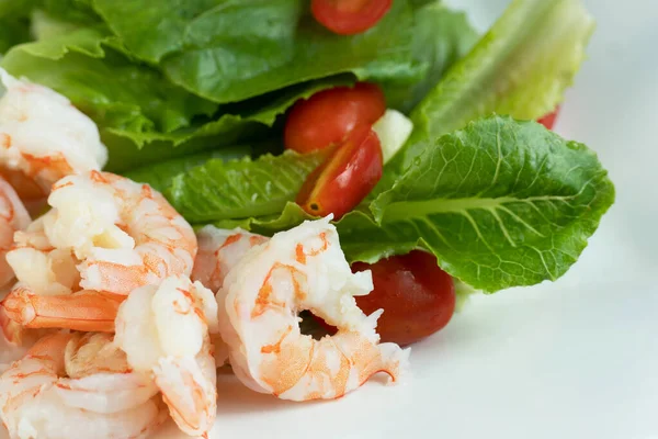 Färsk Röd Tomat Grön Blad Grönsak Sallad Och Räkor Ingrediens — Stockfoto