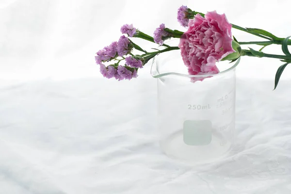Roxo Rosa Flor Natural Com Copo Vidro Ciência Fundo Laboratório — Fotografia de Stock