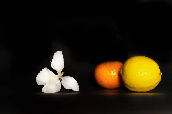 Natureza Fresco Amarelo Limão Laranja Tangerina Fruta Flor Branca Para — Fotografia de Stock