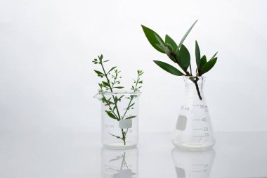 Koyu yeşil, biyo-teknoloji bilim araştırma laboratuvarında matara şişesi ve beyaz arka planda su ile birlikte.