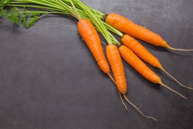 Olgun havuç gri bir arka plan üzerinde bahçesinden. Metnin altında yer.