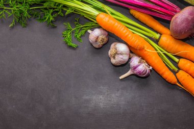 Bahçeden taze organik sebze. Sağlıklı gıda. Sonbaharda hasat havuç, pancar ve sarımsak. Gri bir arka plan üzerinde. Metin için yer.