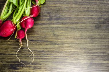 Sağlıklı gıda ve parlak gıda. Taze turp rustik bir tablo. Kırmızı turp. Taze sebze.