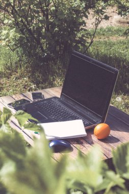Açık havada dizüstü bilgisayarda çalışıyorum. Serbest çalışan biri. Doğanın arka planı üzerine serbest çalışma.