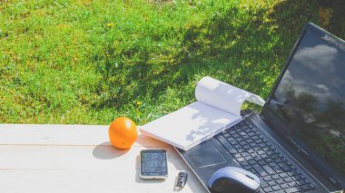 Açık havada dizüstü bilgisayarda çalışıyorum. Serbest çalışan biri. Doğanın arka planı üzerine serbest çalışma.