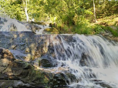 Gölden nehre dökülen doğal şelale, yeşil ağaçların arasında. Güzellik ve dinamik.