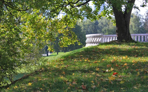 夏のウォーターフロント公園地区白い大理石のフェンスのアーキテクチャオブジェクトの前景と近代的な建物と川の水あなたのテキストのための空のコピースペースと明るい背景都市の景色ここに — ストック写真