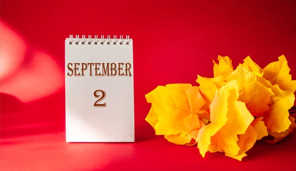 Kalender Met Tekst Oktober Een Rode Achtergrond Met Een Esdoornblad — Stockfoto