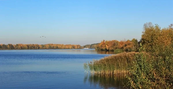 Małe Jezioro Las Białorusi Jesienią — Zdjęcie stockowe